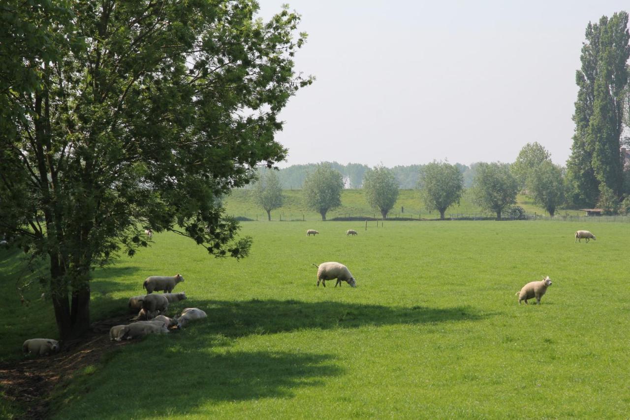 B&B Buitenwaard Oosterhout  Extérieur photo